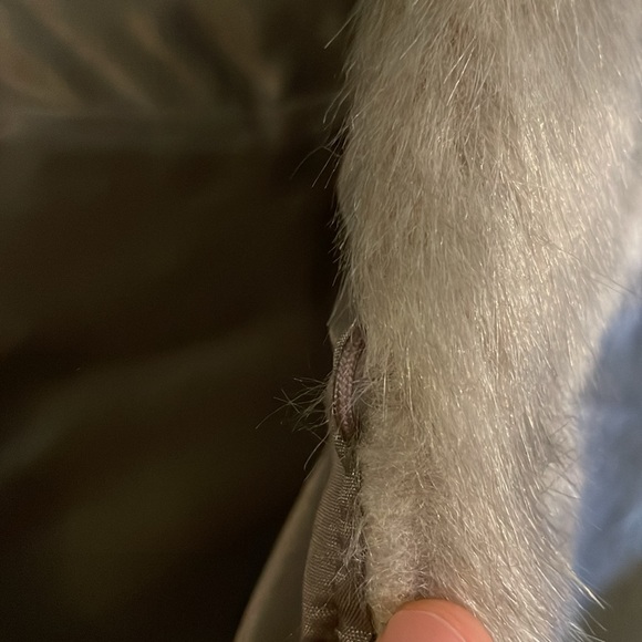 Size medium faux fur capelet - Picture 4 of 4